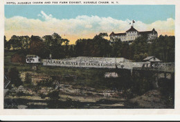 HOTEL AUSABLE CHASM AND FOX FARM EXHIBIT,  AUSABLE CHASM. N.Y. - Other & Unclassified