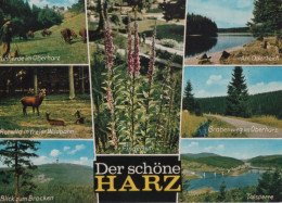 37465 - Harz - U.a. Kuhherde Im Oberharz - 1980 - Sonstige & Ohne Zuordnung