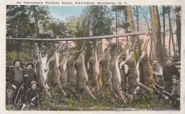 An Adirondack Hunting Scene, Adirondack Mountains. N.Y. - Adirondack