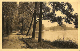 France (69) Rhône - Lyon - Parc De La Tête D'Or - Altri & Non Classificati