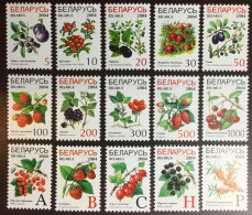 Belarus 2004 Fruits Definitives Set MNH - Obst & Früchte