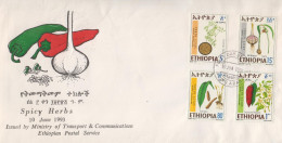 Ethiopia FDC From 1993 - Sonstige & Ohne Zuordnung