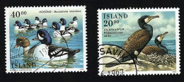 1996 Birds  Michel IS 841 - 842 Stamp Number IS 815 - 816 Yvert Et Tellier IS 794 - 795 Used - Gebraucht