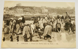 CPA - CANCALE. Travail Des Huîtres Dans Les Parcs. Métiers De La Mer 1912 - Cancale