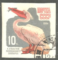 773 Russie Pelican Pelikan Pelikaan Pelicano Imperforate Non Dentelé (RUK-675) - Pélicans