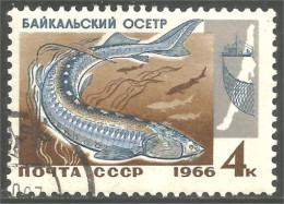 773 Russie Esturgeon Sturgeon Pêche Fishing Bateau Boat Ship Schiff (RUK-680) - Schiffe