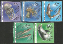 773 Russie Marine Life Anemone Dauphin Dolphin Requin Shark MNH ** Neuf SC (RUK-670b) - Autres & Non Classés