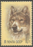 773 Russie Loup Wolf Lobo Lupo MNH ** Neuf SC (RUK-650a) - Unused Stamps