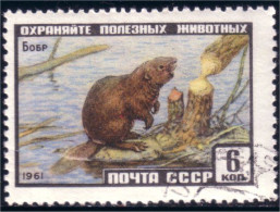 773 Russie Castor Beaver (RUK-538) - Knaagdieren