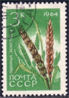 773 Russie Wheat Ble Blé Cereal Céréale (RUK-517) - Alimentazione