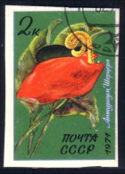 773 Russie Fleur Anthurium Flower Imperforate Non Dentelé (RUK-523) - Sonstige & Ohne Zuordnung