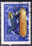 773 Russie Corn Mais Maize (RUK-516) - Alimentation