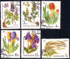 773 Russie Fleurs Flowers Russian Steppes Russes 1986 (RUK-484) - Gebruikt