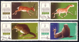 773 Russie Fauna Saiga Koulan Desman Donkey Sea Lion 1974 Ane Morse (RUK-457) - Gebruikt