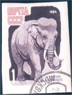 773 Russie Elephant Elefant Elefante Olifant Norsu Non Dentelé Imperforate Stamp 1964 (RUK-380) - Elephants