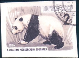 773 Russie Ours Panda Bear Non Dentelé Imperforate Stamp 1964 (RUK-379) - Bears