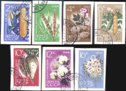 773 Russie Vegetable Legumes Complete Set Non Dentelés Imperforate Stamps 1964 (RUK-371) - Vegetazione