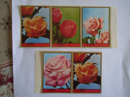 AJMAN  MNH   5  STAMPS   BIG  FLOWERS ROSES - Rosen