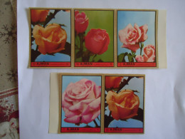 AJMAN  MNH   5  STAMPS   BIG  FLOWERS ROSES - Rosas