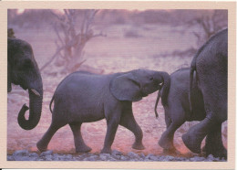 Namibia Postcard Sent To Germany (Elephant) Leopard On The Stamp - Namibie