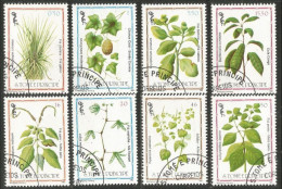 788 Sao Tome Principe Plante Plant Heilpflanze Pflanze Medicinal Médicinale (SAO-23c) - Geneeskrachtige Planten