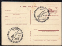 POLAND 1967 V INTERNATIONAL PEDIGREE DOG SHOW POZNAN SPECIAL CANCEL ON POSTCARD DOGS OGAR POLSKI - Cani