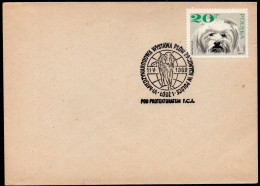 POLAND 1969 SCARCE 6TH INTERNATIONAL PEDIGREE DOG SHOW LODZ SPECIAL CANCEL ON COVER POLISH HOUND OGAR DOGS - Honden