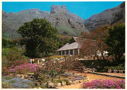 Afrique Du Sud - South Africa - Cape Town - The National Botanical Gardens At Kirstenbosch, Nestling On The Slopes Benea - Sud Africa