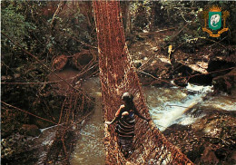 Cote D'Ivoire - Le Pont De Lianes De Gouesseso - CPM - Voir Scans Recto-Verso - Costa D'Avorio