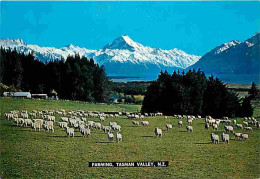 Nouvelle Zélande - Farming - Tasman Valley - Mount Cook Dominates The Background Of This Peaceful South Island Scene - M - Nueva Zelanda