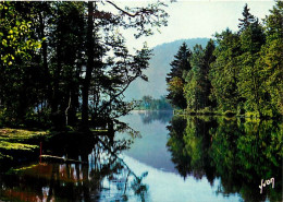 88 - Xonrupt-Longemer - Le Lac De Longemer - Carte Neuve - CPM - Voir Scans Recto-Verso - Xonrupt Longemer