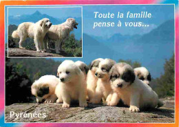 Animaux - Chiens - Chien Des Pyrénées - Chiots - Flamme Postale De Argeles-Gazost - CPM - Voir Scans Recto-Verso - Perros