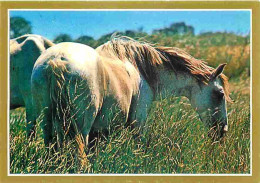 Animaux - Chevaux - La Passion Du Cheval - Photo Serge Farissier - CPM - Voir Scans Recto-Verso - Pferde