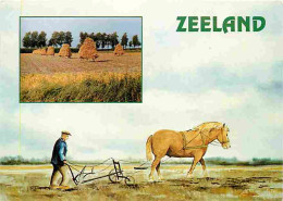 Animaux - Chevaux - Zeeland - Travaux Des Champs - CPM - Voir Scans Recto-Verso - Pferde