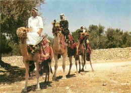 Animaux - Camélidés - Cavaliers De Chameaux - Travellers On Their Camels - Kamelreiter - CPM - Voir Scans Recto-Verso - Otros & Sin Clasificación