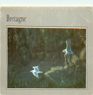 Animaux - Oiseaux - Oiseaux De Mer - Bretagne - CPM - Voir Scans Recto-Verso - Pájaros