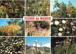 Fleurs - CPM - Voir Scans Recto-Verso - Blumen