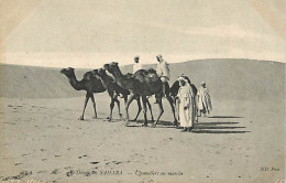 Scènes Et Types - Afrique Du Nord - Désert Du Sahara - Chameliers En Marche - Animée - CPA - Voir Scans Recto-Verso - Afrique
