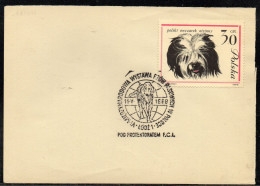 POLAND 1969 SCARCE 6TH INTERNATIONAL PEDIGREE DOG SHOW LODZ SPECIAL CANCEL ON PAPER POLISH HOUND OGAR DOGS - Chiens