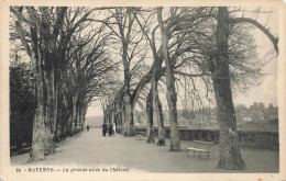 CPA Mayenne-La Grande Allée Du Château-56-Visuel Différent       L2801 - Mayenne