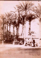 Photo Originale -1889 - Algerie - Sur La Route De BONE ( Annaba ) Panne De Voiture - Places