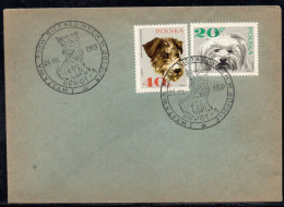 POLAND 1969 I NON-PEDIGREE DOG SHOW SOPOT SPECIAL CANCEL ON COVER DOGS - Chiens