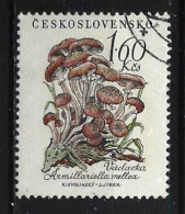 Ceskoslovensko 1958 Mushrooms   Y.T. 988  (0) - Oblitérés