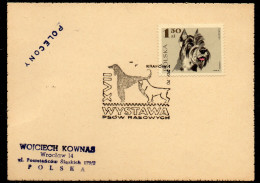 POLAND 1970 XVII PEDIGREE DOG SHOW KRAKOW SPECIAL CANCEL ON CARD DOGS - Cani