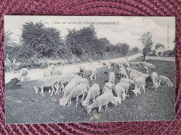 Sur La Route De Fourchambault , Moutons - Autres & Non Classés