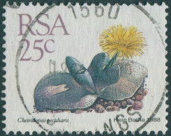 South Africa 1988 SG661 25c Succulent FU - Sonstige & Ohne Zuordnung