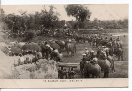Carte Postale Ancienne Thaïlande - Ayuthia. Elephant Hunt - Chasse - Thaïland