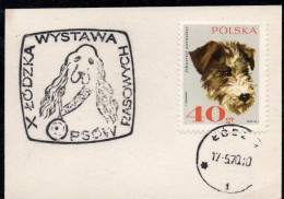 POLAND 1970 X PEDIGREE DOG SHOW IN LODZ SPECIAL CANCEL ON CARD POLISH DOGS SPANIEL - Cani