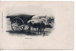 Carte Postale Ancienne Thaïlande - Bullock Cart - Attelage - Thaïlande