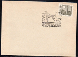 POLAND 1970 XVII PEDIGREE DOG SHOW KRAKOW SPECIAL CANCEL ON COVER DOGS SPANIEL - Cani